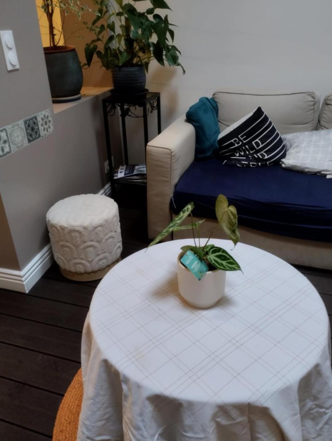 Ideal Vieille Ville De Boulogne La Boulonnaise ! Eksteriør billede