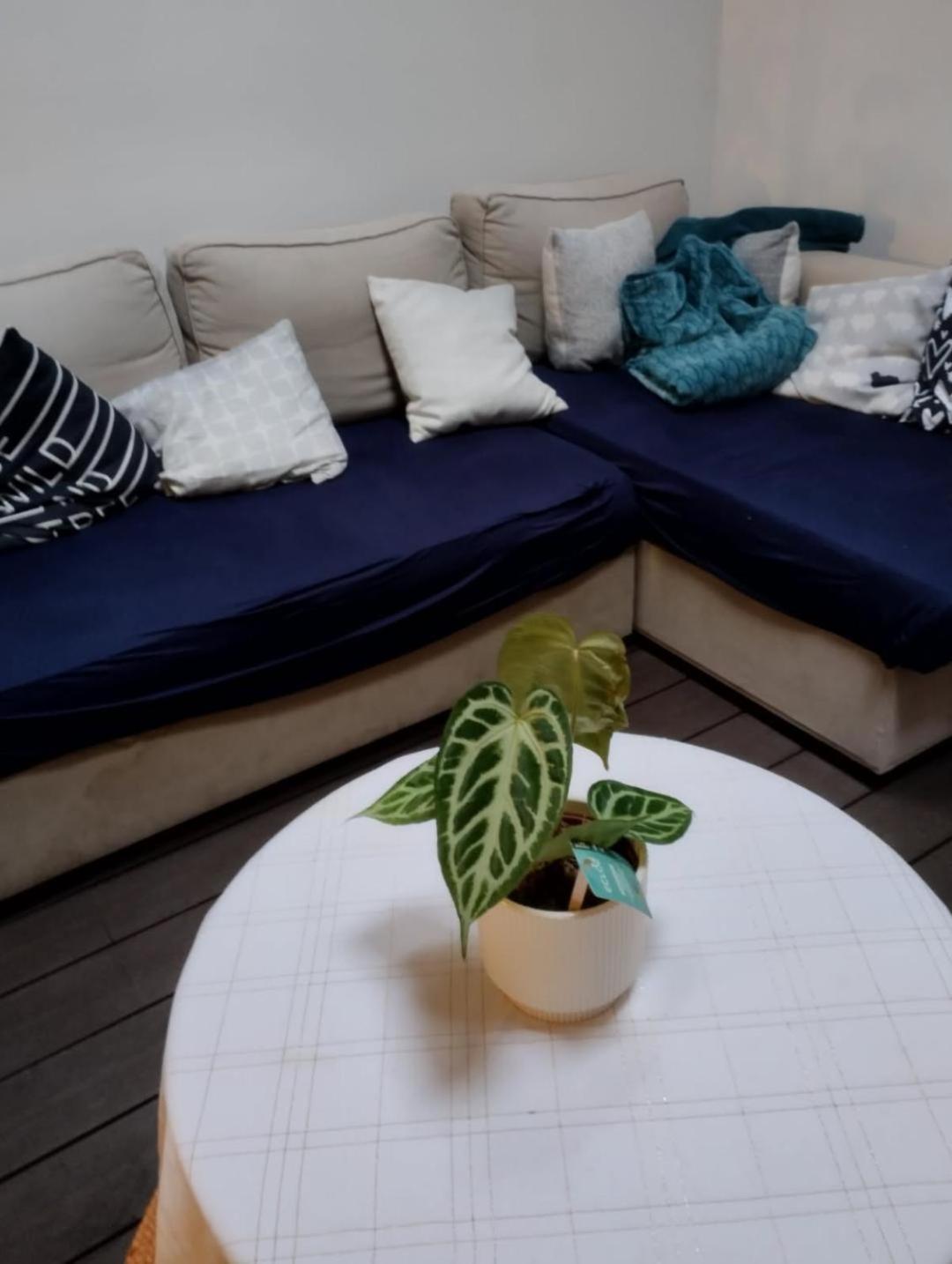 Ideal Vieille Ville De Boulogne La Boulonnaise ! Eksteriør billede